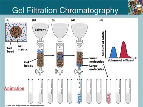Membrane Filtration Chromatography