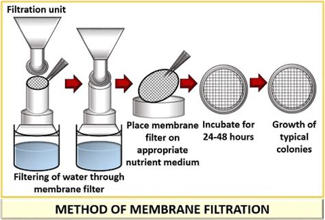 Membrane Filtration Method Sterility Testing