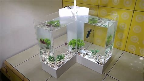Aquarium Unik Mini / Membuat Aquarium Ikan Cupang Aquarium