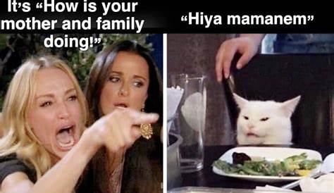 White Cat Screaming Meme - werohmedia