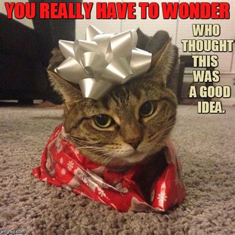 meme cat gift wrapping for christmas