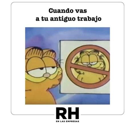 meme garfield prohibido trabajo