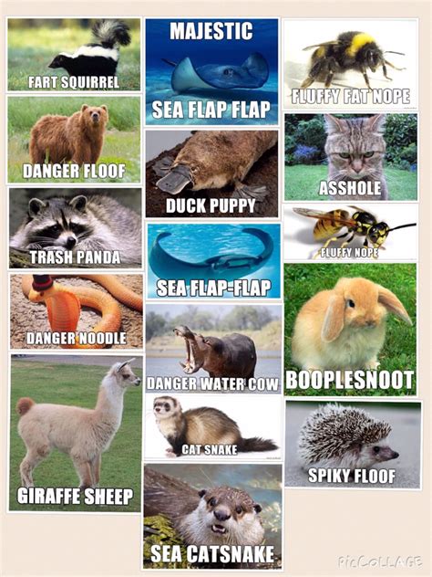 meme names for animals