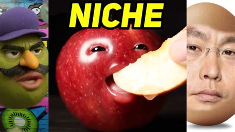 Meme Niche