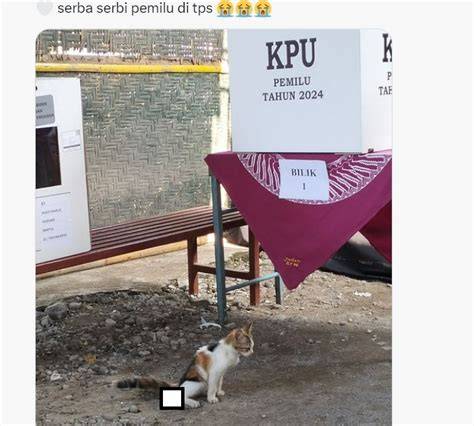 Ekonom Gedung Putih Terkejut dengan Peningkatan Tabungan Pensiun