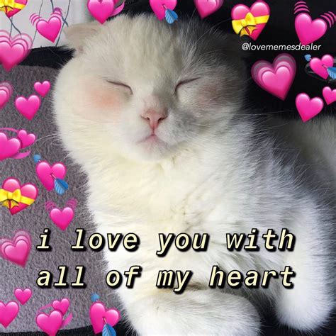 1,132 Likes, 33 Comments taylor (wholesomexmemes) on Instagram