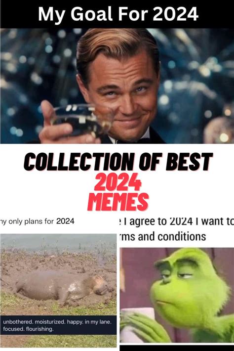 memes 2024
