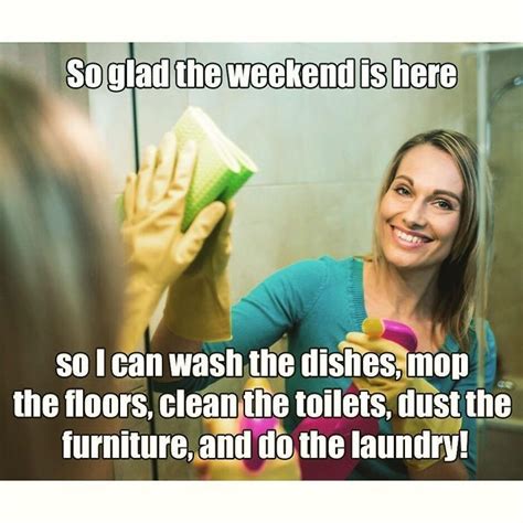 Why Clean House When You Can Read Funny House Cleaning Memes? Munofore