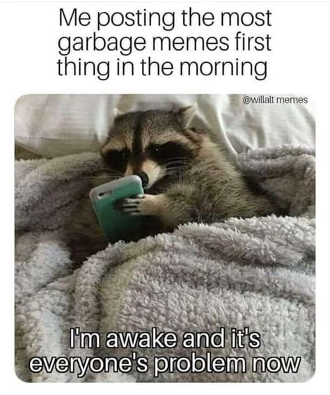 100 Good Morning Memes Happy Morning Quotes With Images DailyFunnyQuote