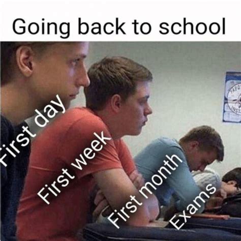 memes about school friends