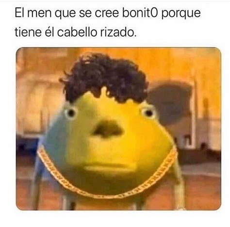 Cuando Tienes Cabello Rizado Es Natural? iNo Te Da Calor? Puedo Tocarlo