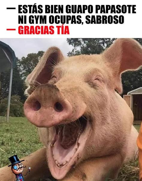 Desmotivaciones Trio muy chancho