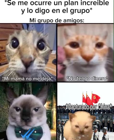 Imagen con diferentes memes de internet