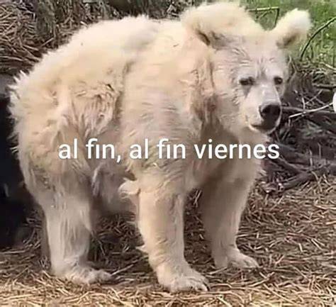 Memes de Viernes Imagenes chistosas