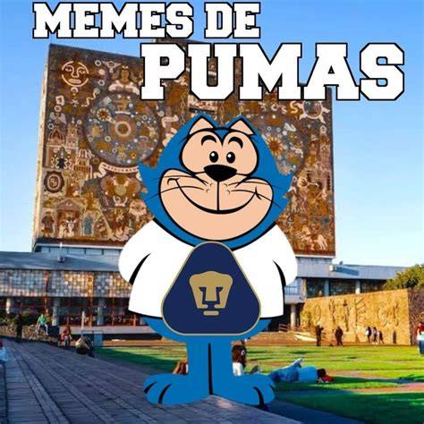 Memes de Pumas Imagenes chistosas