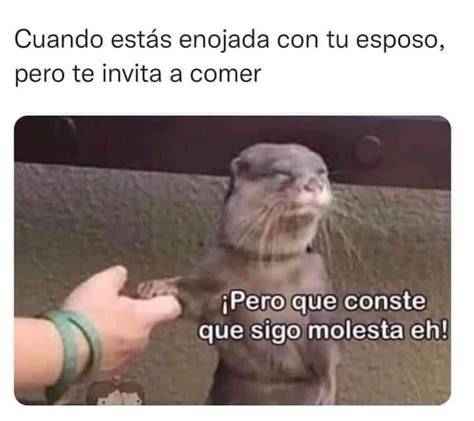 La Esposa Y La Amante Memes Meme Walls