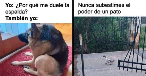 Los memes más divertidos del medio tiempo del Super Bowl LlV