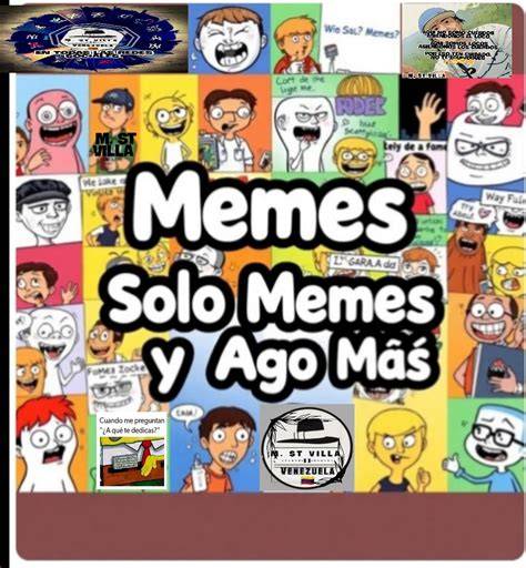 30 mejores fotos de buhos y lechuzas