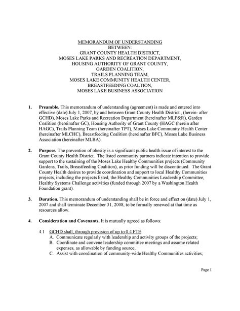 Memorandum Of Points And Authorities Template