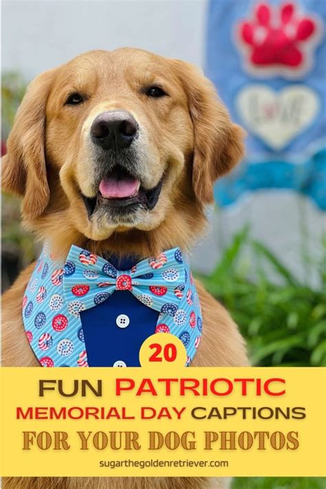 Memorial Day Dog Captions