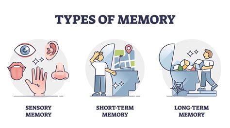 Memory And Learning Psychology