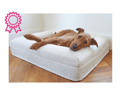Memory Foam Dog Beds Australia