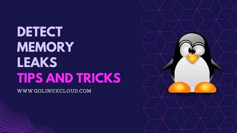 Memory Leak Detection Tools Linux