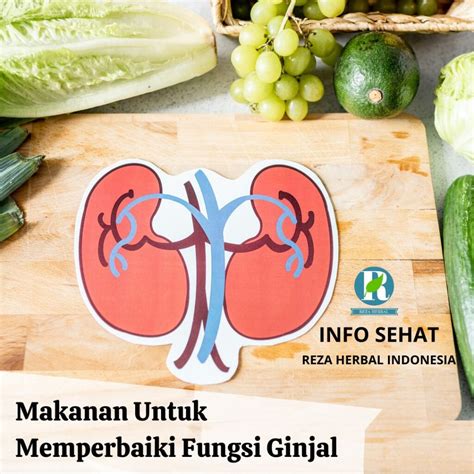 Beritaria.com | Memperbaiki Fungsi Ginjal