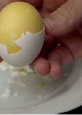 memutar telur