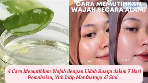 Memutihkan Kulit Wajah Dengan Lidah Buaya