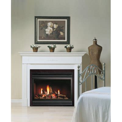 menards gas fireplace inserts