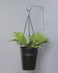 menards hanging plants