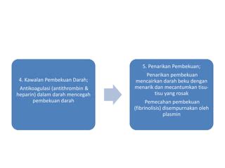 Mengencerkan Darah