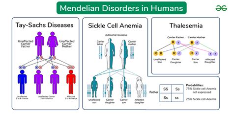 Mendelian Disorders Types