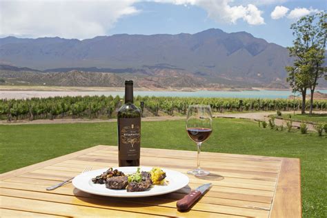 mendoza argentina wine tours