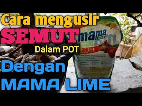 Parasit pada Ayam