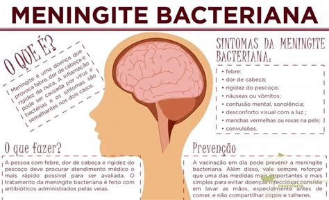 meningite bacteriana o que causa