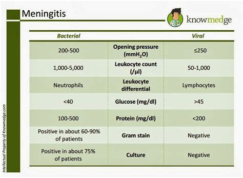 meningitis bacterial treatment guidelines