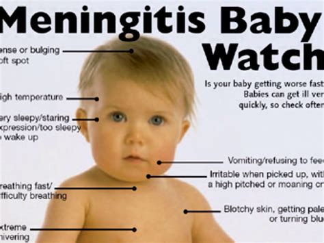 meningitis contagious to babies