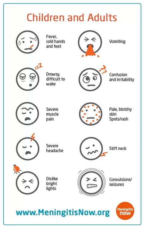 meningitis symptoms adults nhs