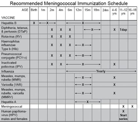 meningitis vaccine schedule uk