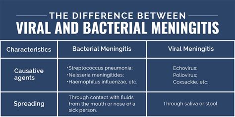 meningitis viral or bacterial