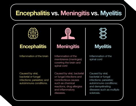 meningitis vs encephalitis
