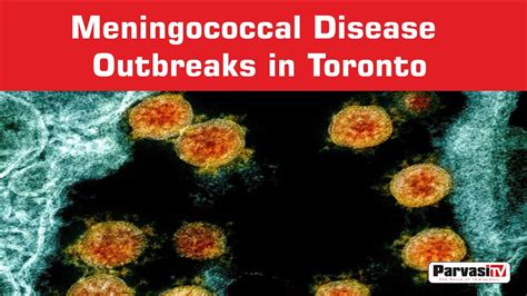meningococcal disease outbreak toronto