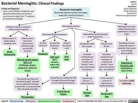 meningococcal meningitis concept map