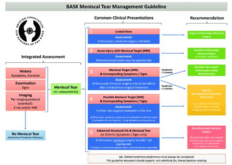 Effective Meniscal Tear Management: Expert Insights and Best Practices