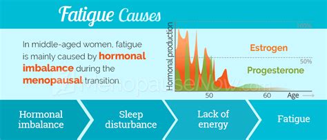 Menopause Fatigue Causes