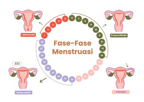 Menstruasi