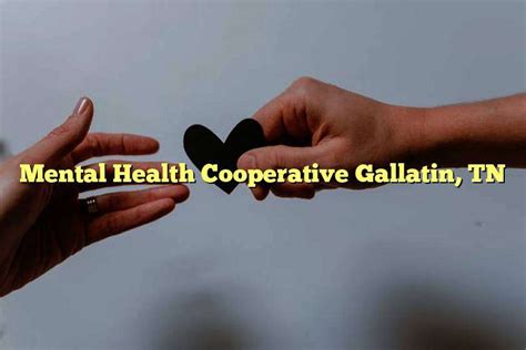 mental health cooperative gallatin tn