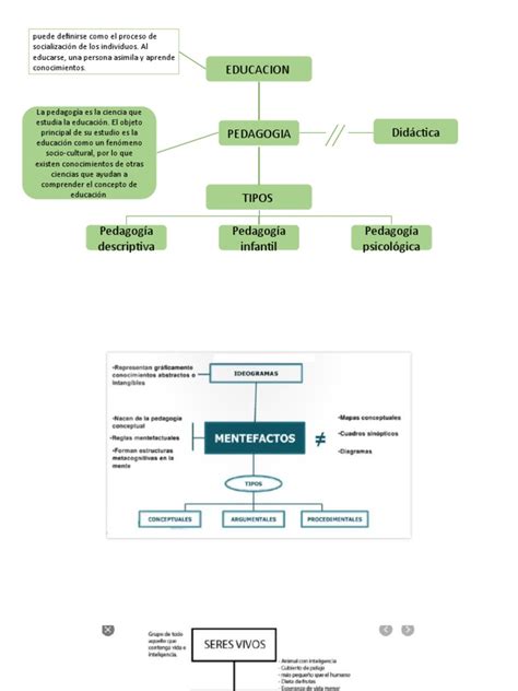 ¿Cómo hacer un mentefacto? YouTube